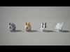 Rabbits Animated UNREAL project  Maya base rig 3D model_3