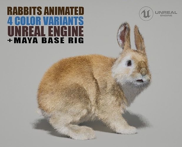 Rabbits Animated UNREAL project  Maya base rig 3D model