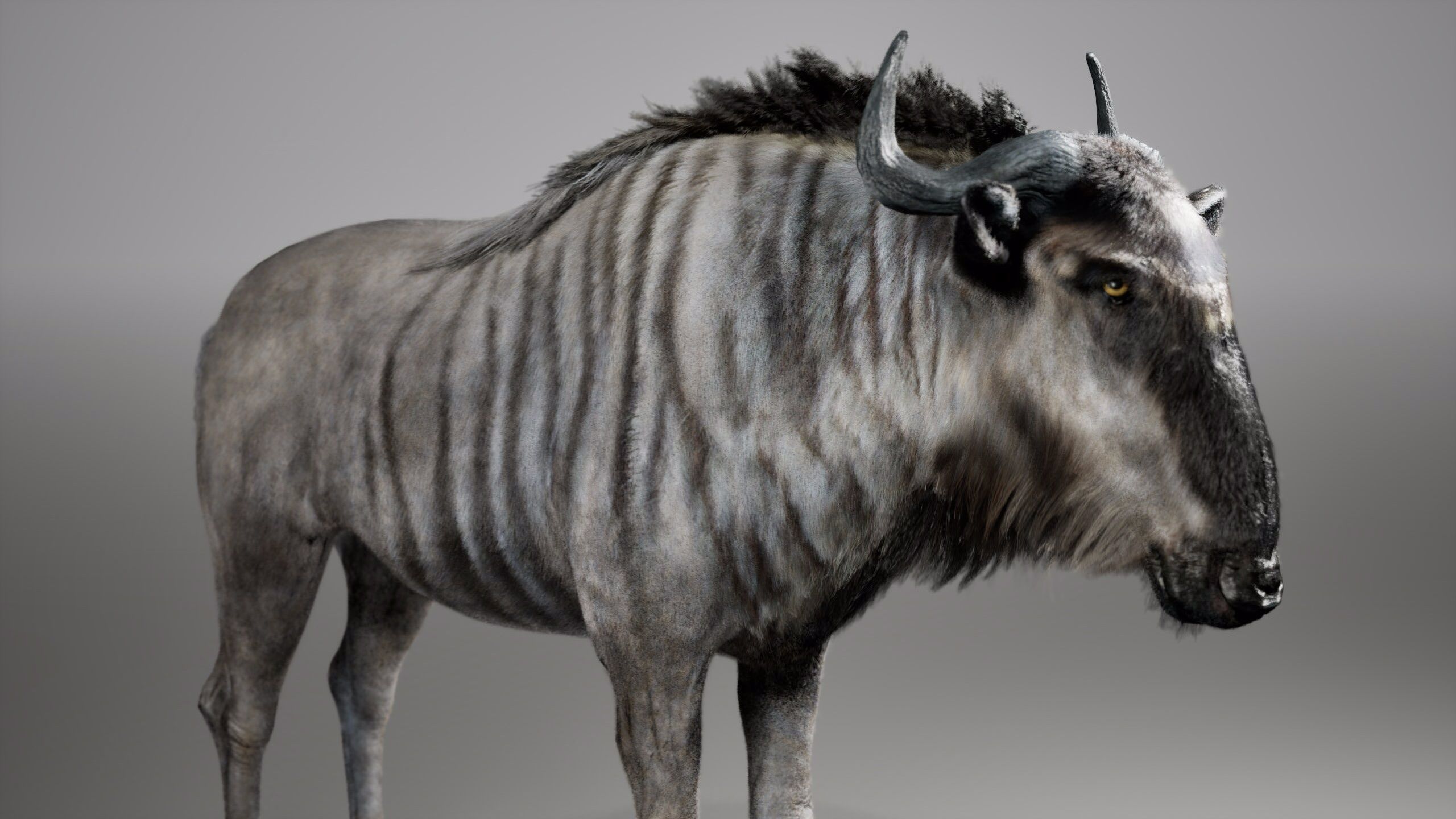 Wildebeest RIG UNREAL project  Maya base rig 3D model_7