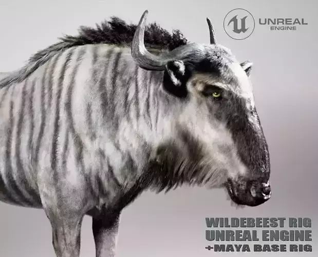 Wildebeest RIG UNREAL project  Maya base rig