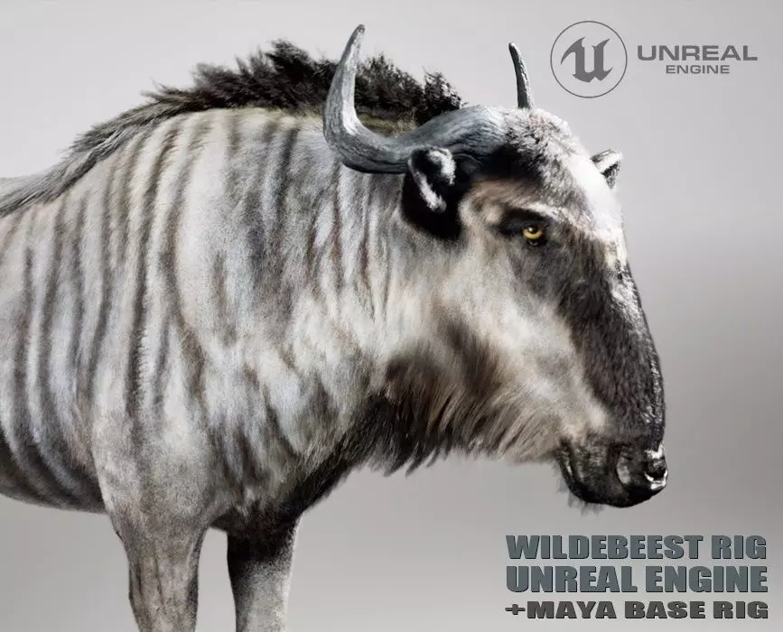 Wildebeest RIG UNREAL project  Maya base rig 3D model_0