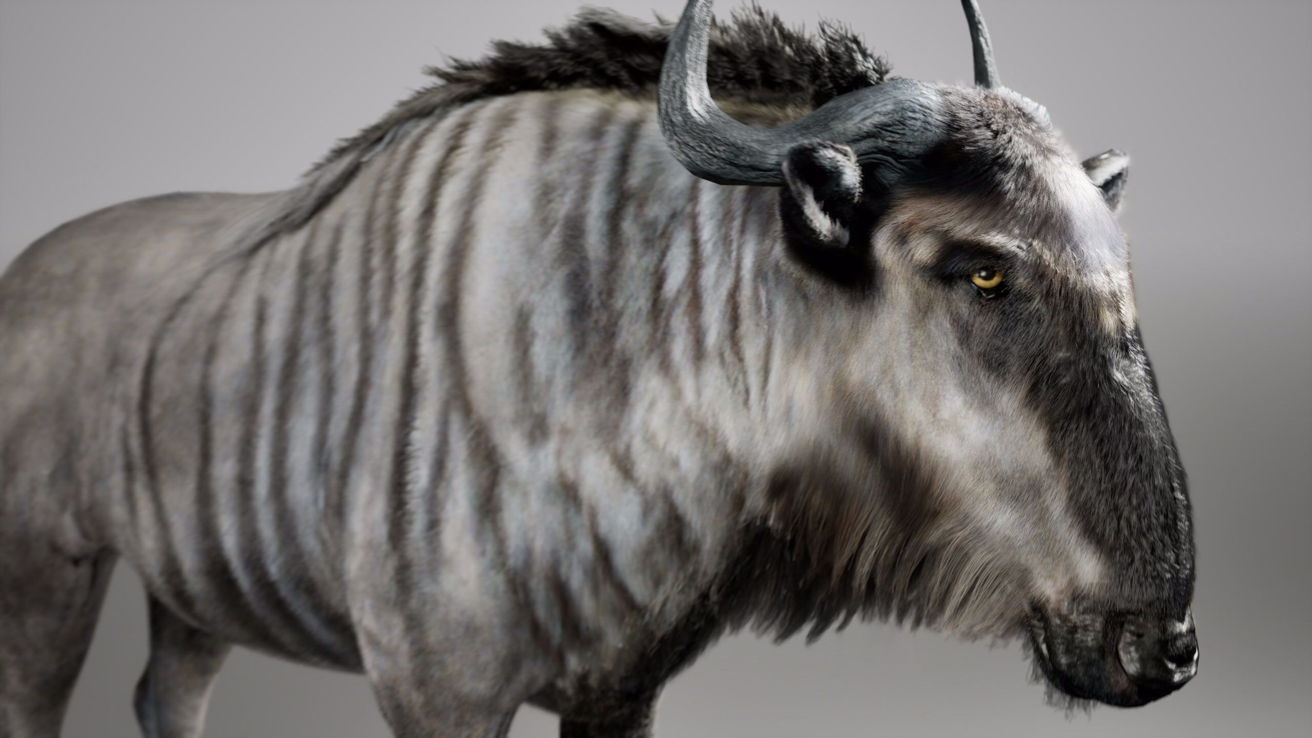 Wildebeest RIG UNREAL project  Maya base rig 3D model_5