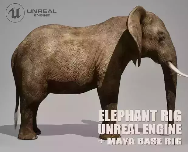 African Elephant RIG UNREAL project  Maya base rig