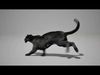 Black Jaguar Animated UNREAL project  Maya base rig 3D model_2