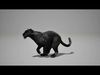 Black Jaguar Animated UNREAL project  Maya base rig 3D model_4