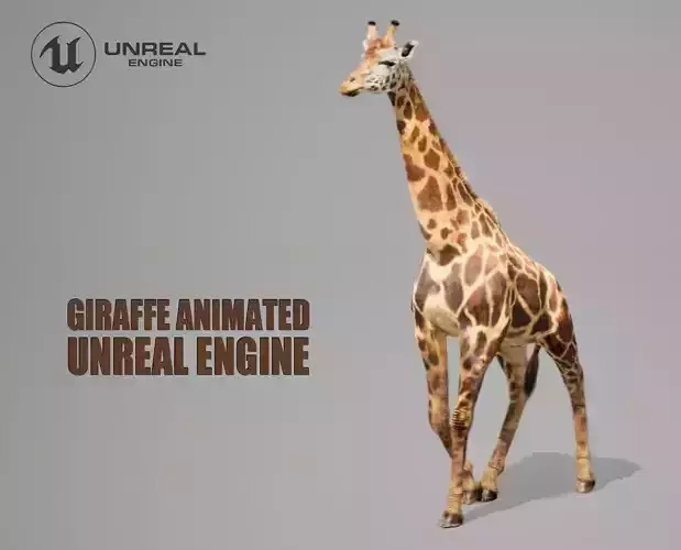 Giraffe Animated UNREAL project  Maya base rig