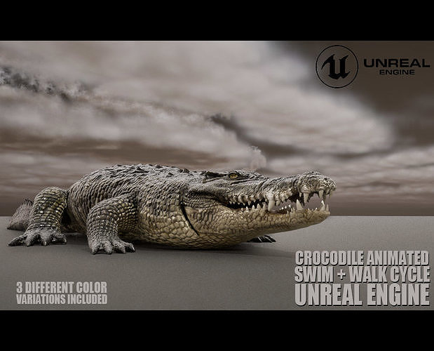 Crocodile Animated UNREAL project  Maya base rig 3D model