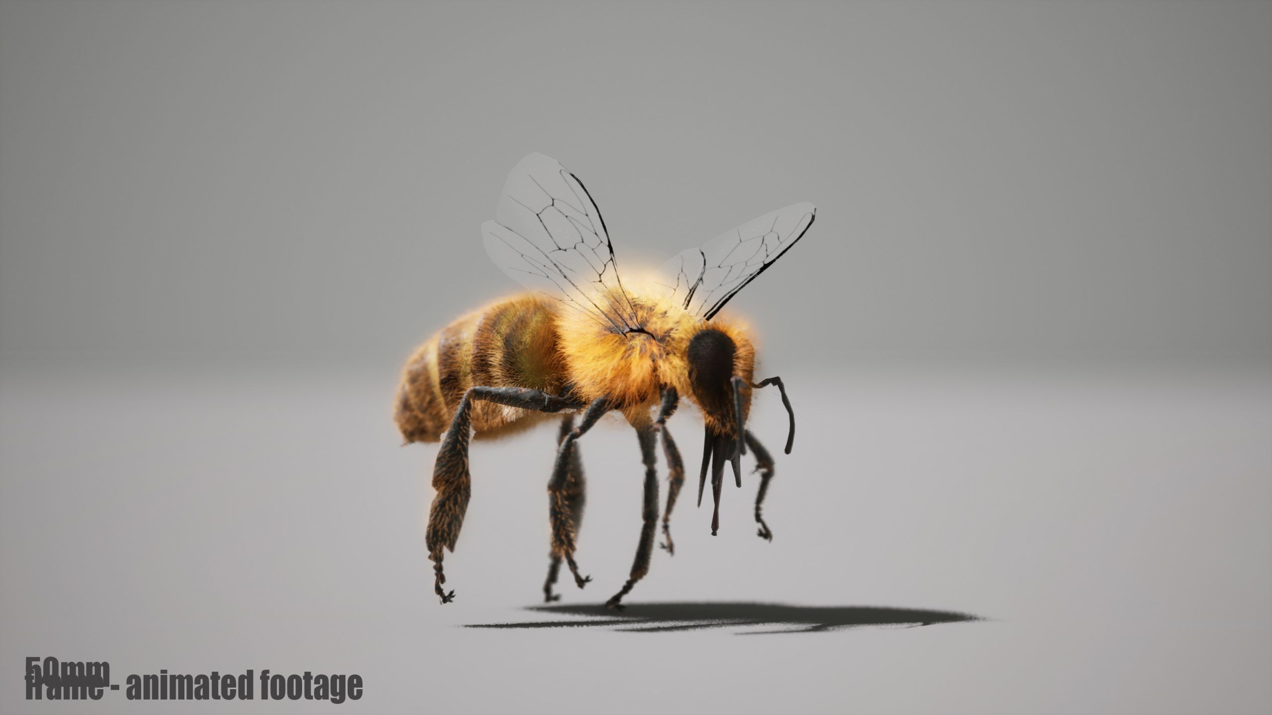Honey Bee FUR UNREAL project Maya base rig 3D model_5