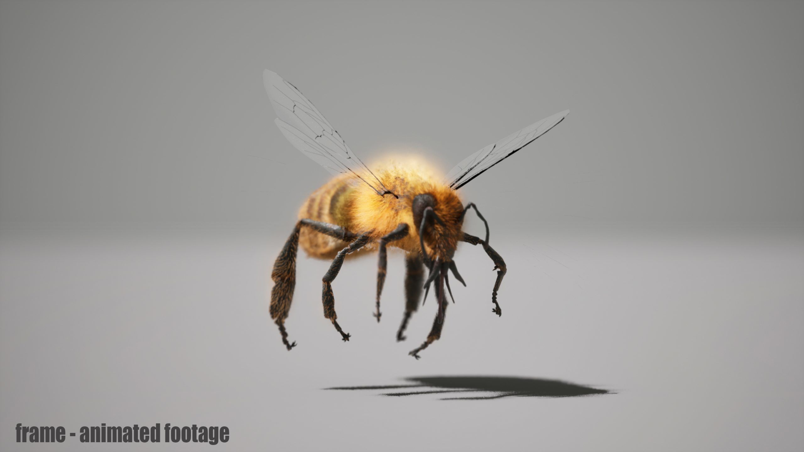 Honey Bee FUR UNREAL project Maya base rig 3D model_6