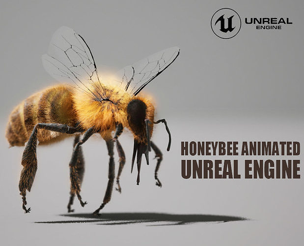 Honey Bee FUR UNREAL project  Maya base rig 3D model