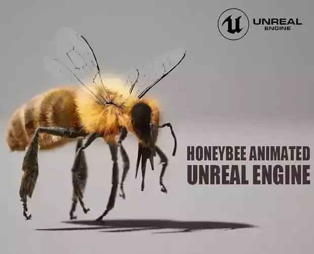 Honey Bee FUR UNREAL project  Maya base rig 3D model