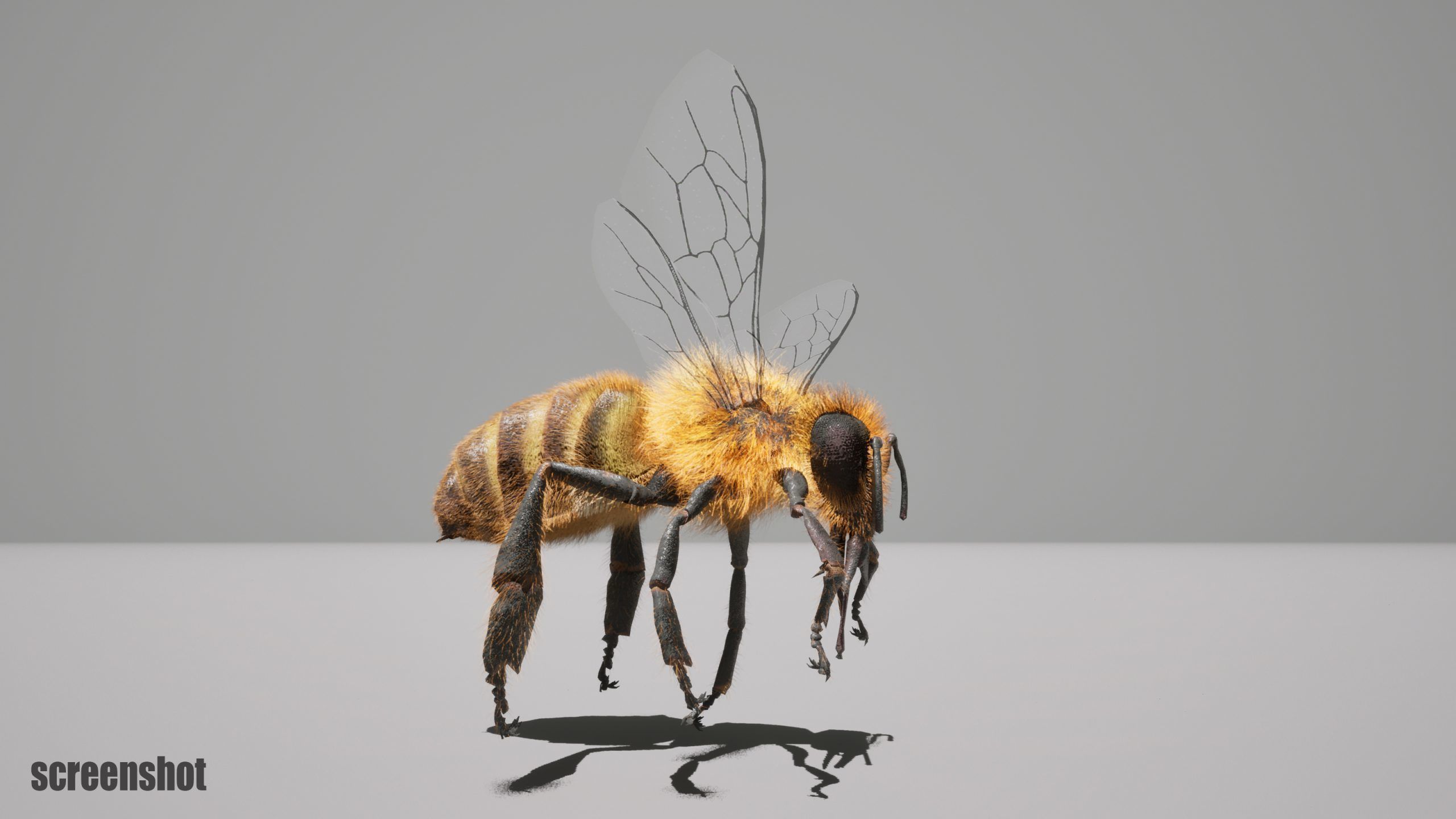 Honey Bee FUR UNREAL project Maya base rig 3D model_8