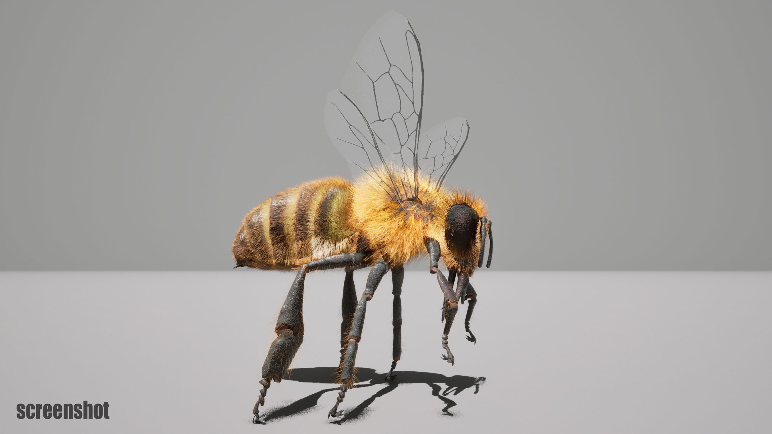 Honey Bee FUR UNREAL project Maya base rig 3D model_9