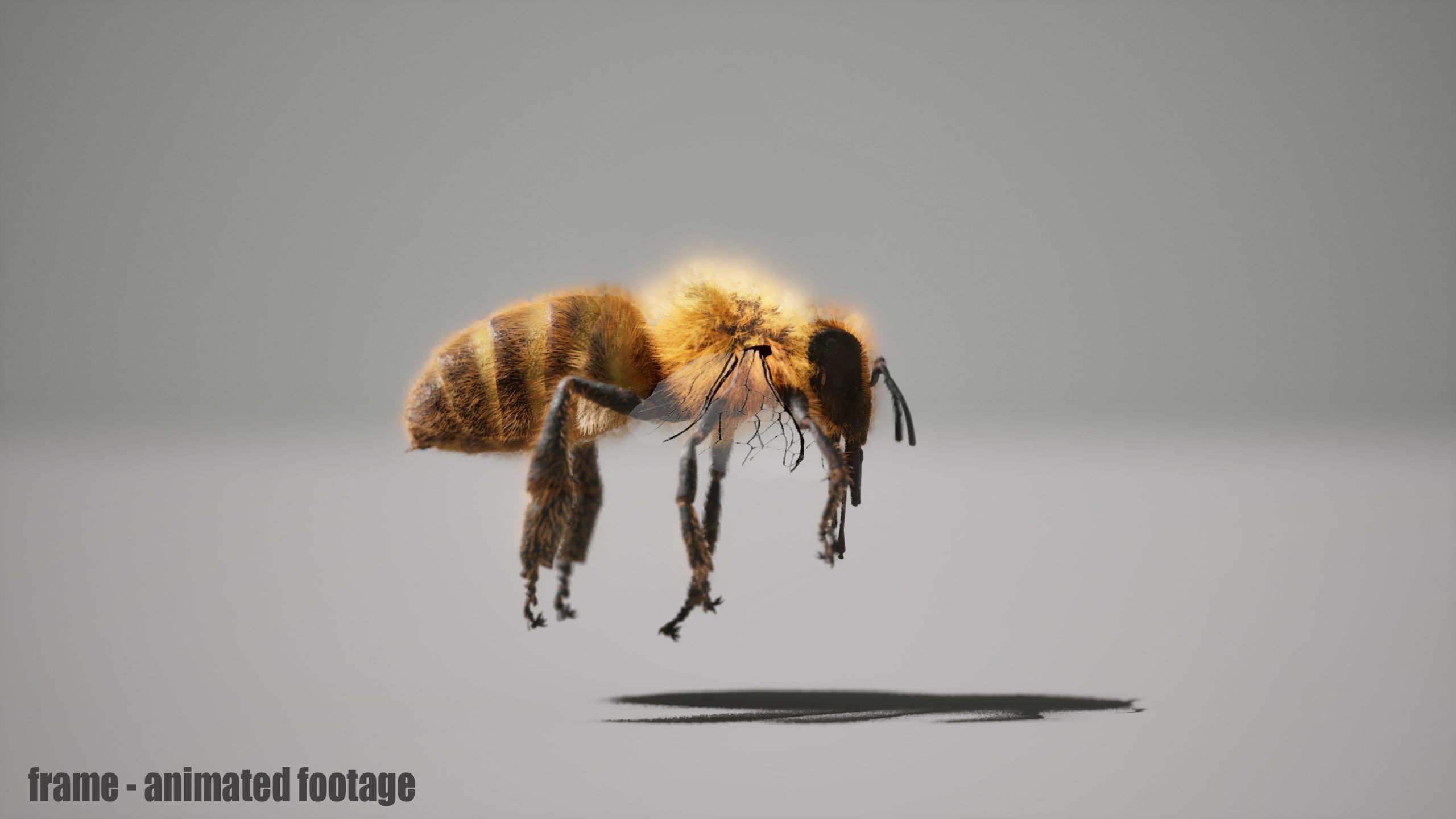 Honey Bee FUR UNREAL project Maya base rig 3D model_3