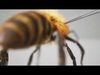 Honey Bee FUR UNREAL project  Maya base rig 3D model_2