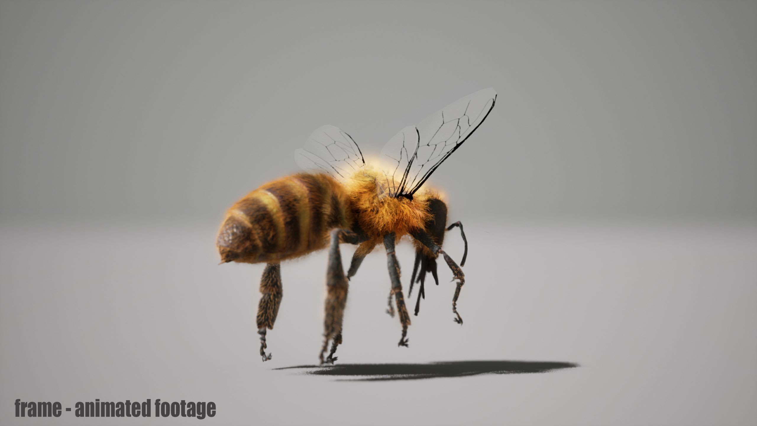 Honey Bee FUR UNREAL project Maya base rig 3D model_4