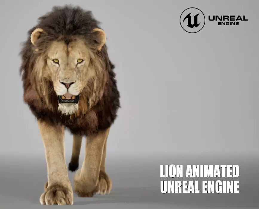Lion Animated FUR UNREAL project Maya base rig 3D model_0
