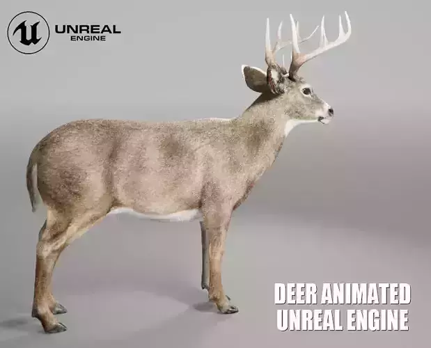 Deer Animated FUR UNREAL project - plus maya base rig