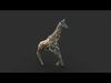 Giraffe XGEN CORE ANIMATED 3D model_3