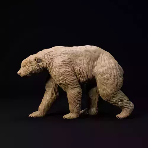 Arctodus Simus Short faced bear pre-supported