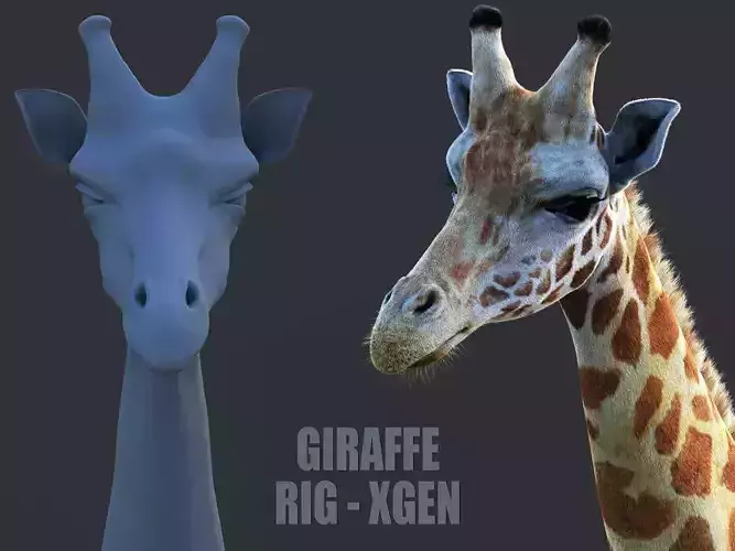 Giraffe XGEN CORE RIGGED