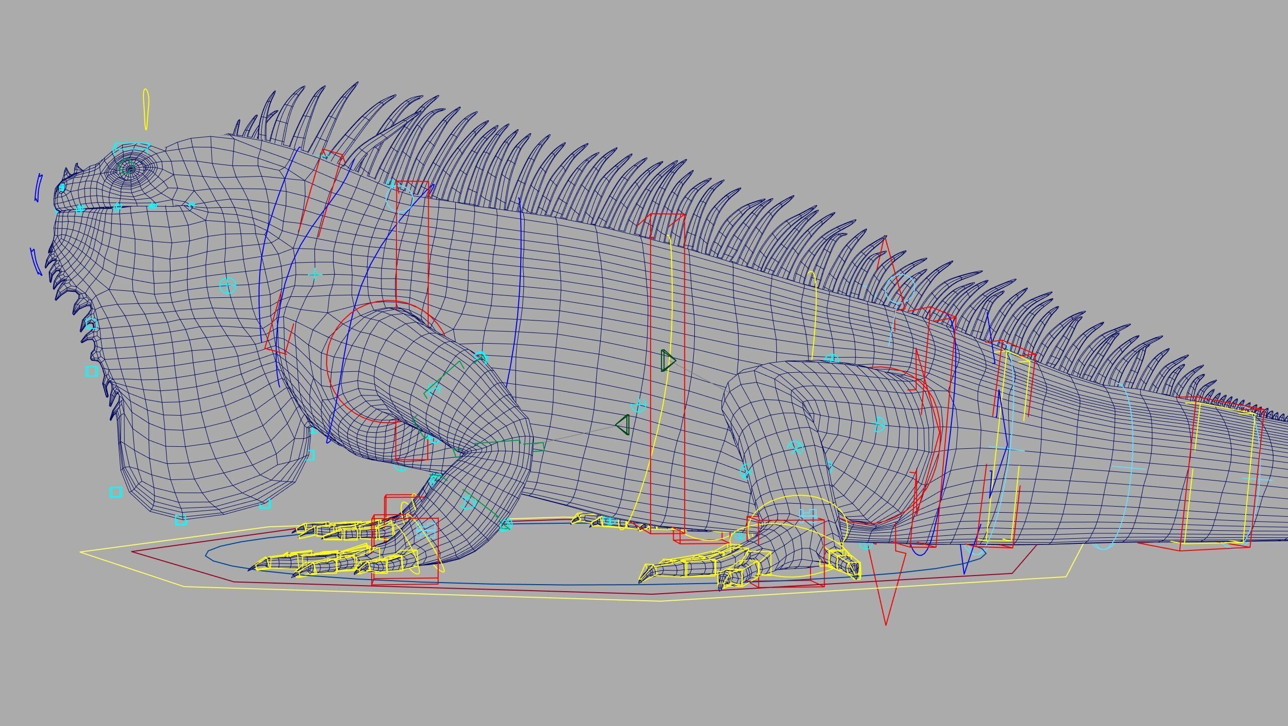 Iguana RIG 3D model_14