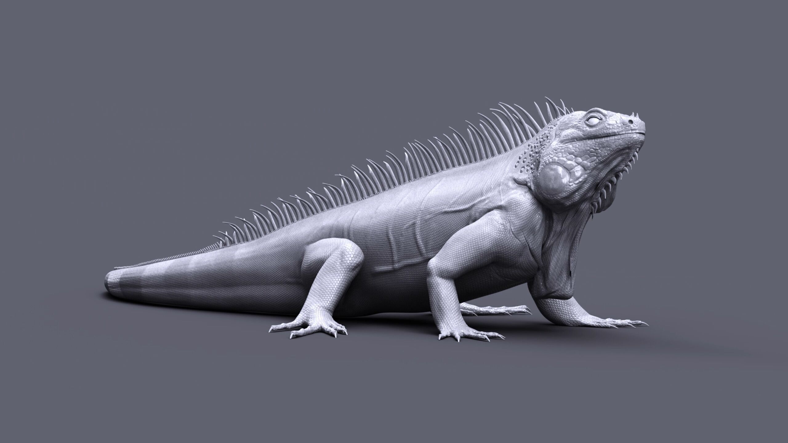 Iguana RIG 3D model_8