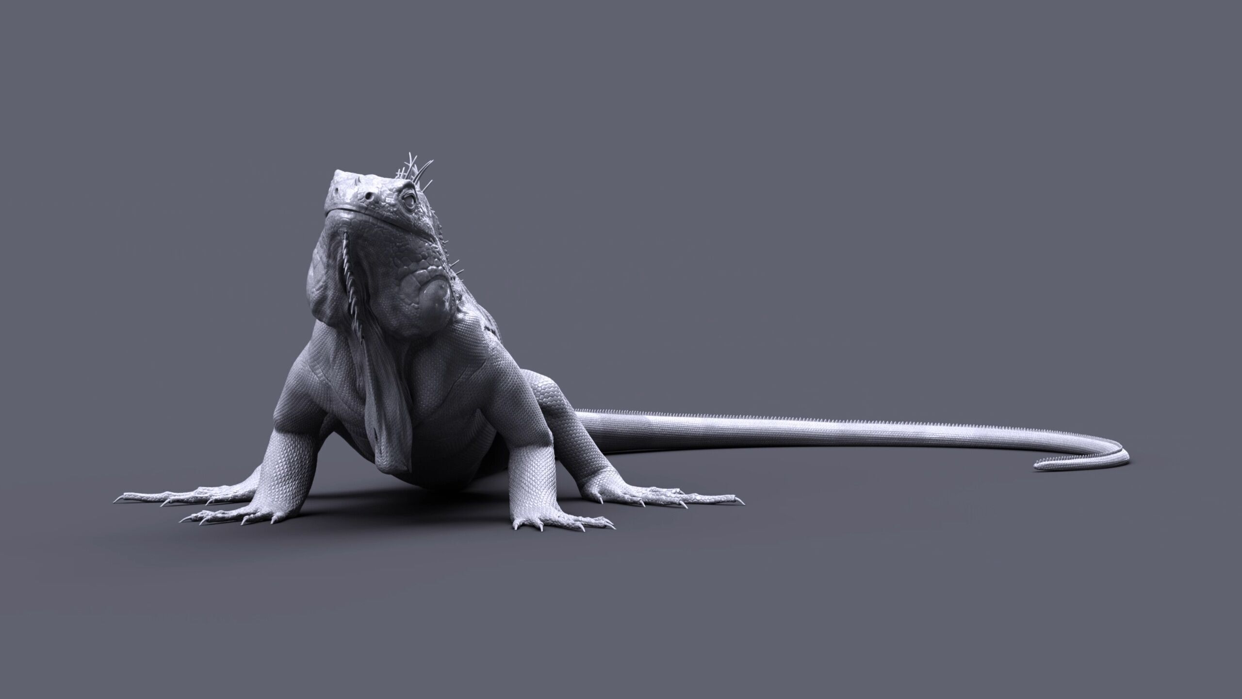Iguana RIG 3D model_9