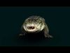 Crocodile ANIMATED 3D model_4