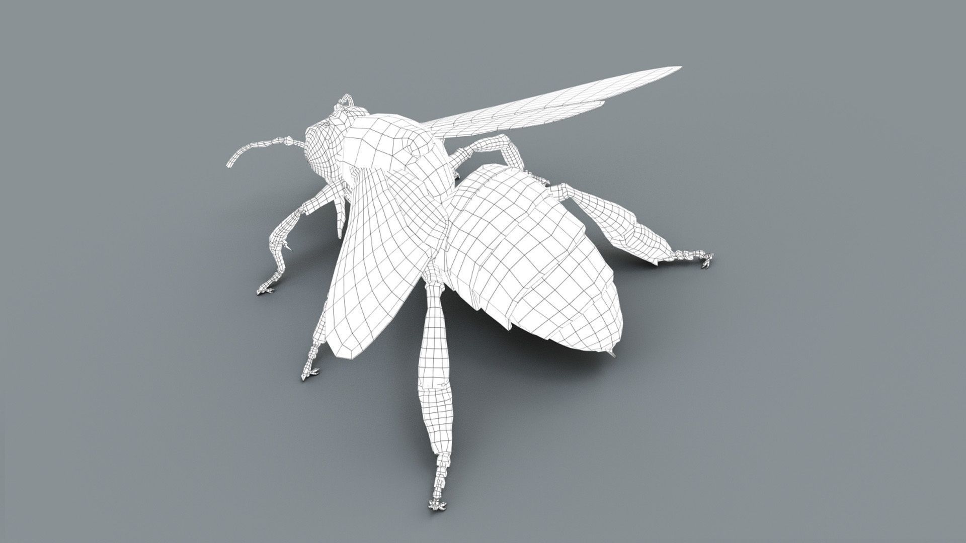 HONEYBEE 2 XGEN CORE RIGGED 3D model_11