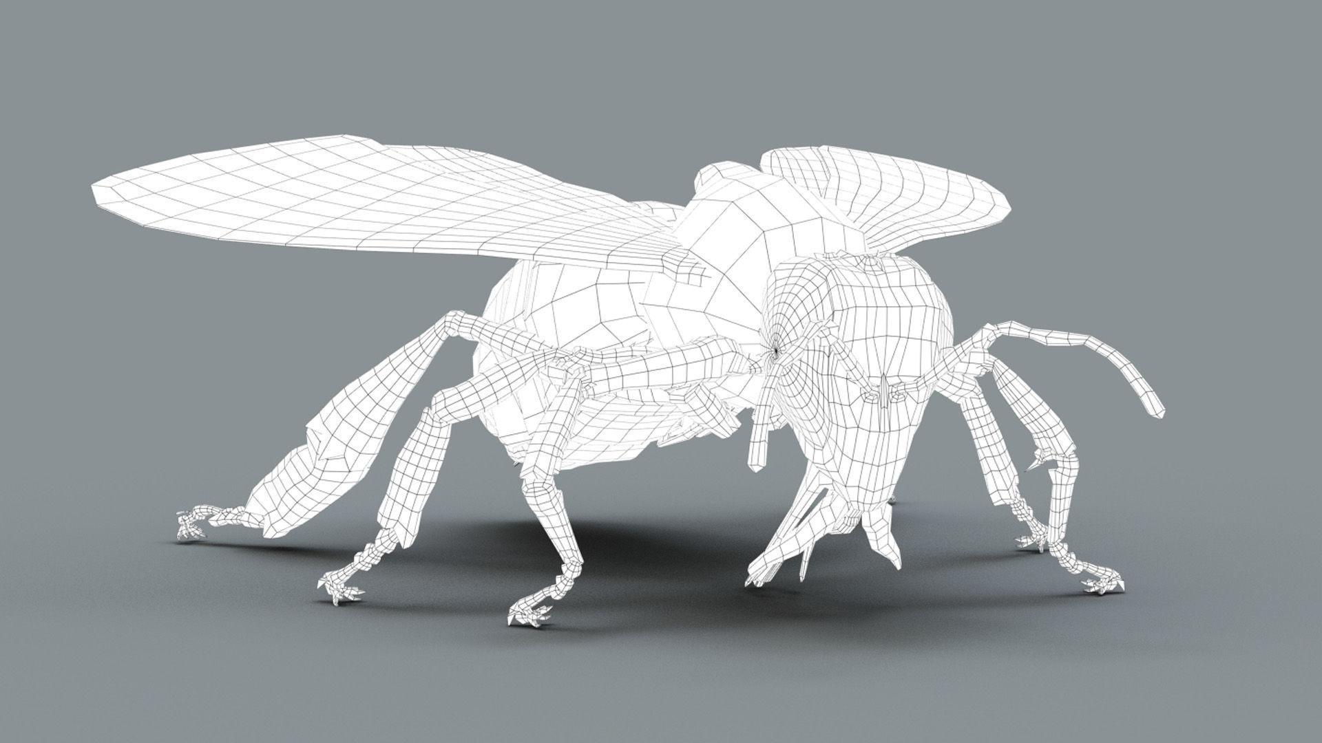 HONEYBEE 2 XGEN CORE RIGGED 3D model_8