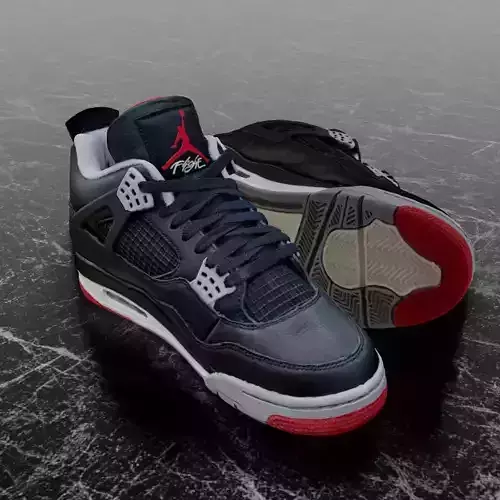 AIR JORDAN 4 BRED REIMAGINED 3D SHOES