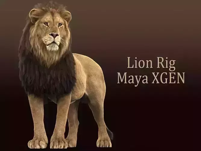 Lion C RIG XGEN CORE