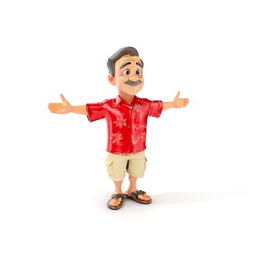 Casual Hawaiian Tourist Character Rigged and Animated Low-poly 3D model