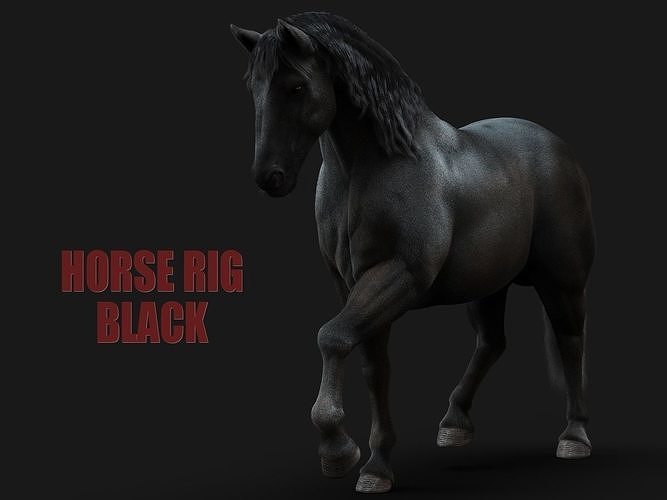 Horse Black RIG  XGEN 3D model