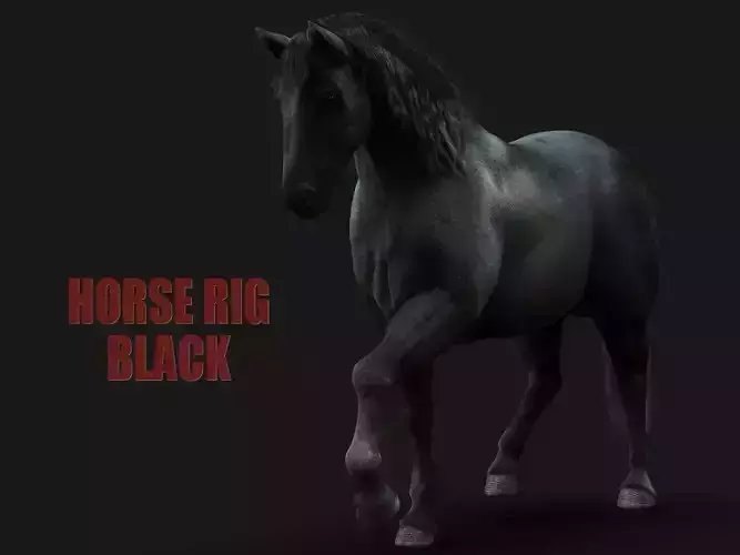Horse Black RIG  XGEN