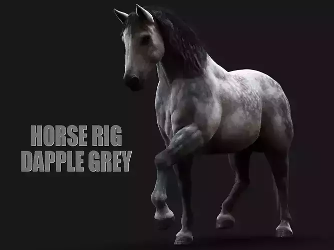 Horse Dapple Grey RIG  XGEN