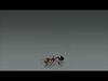 Ant ANIMATED 3D model_2