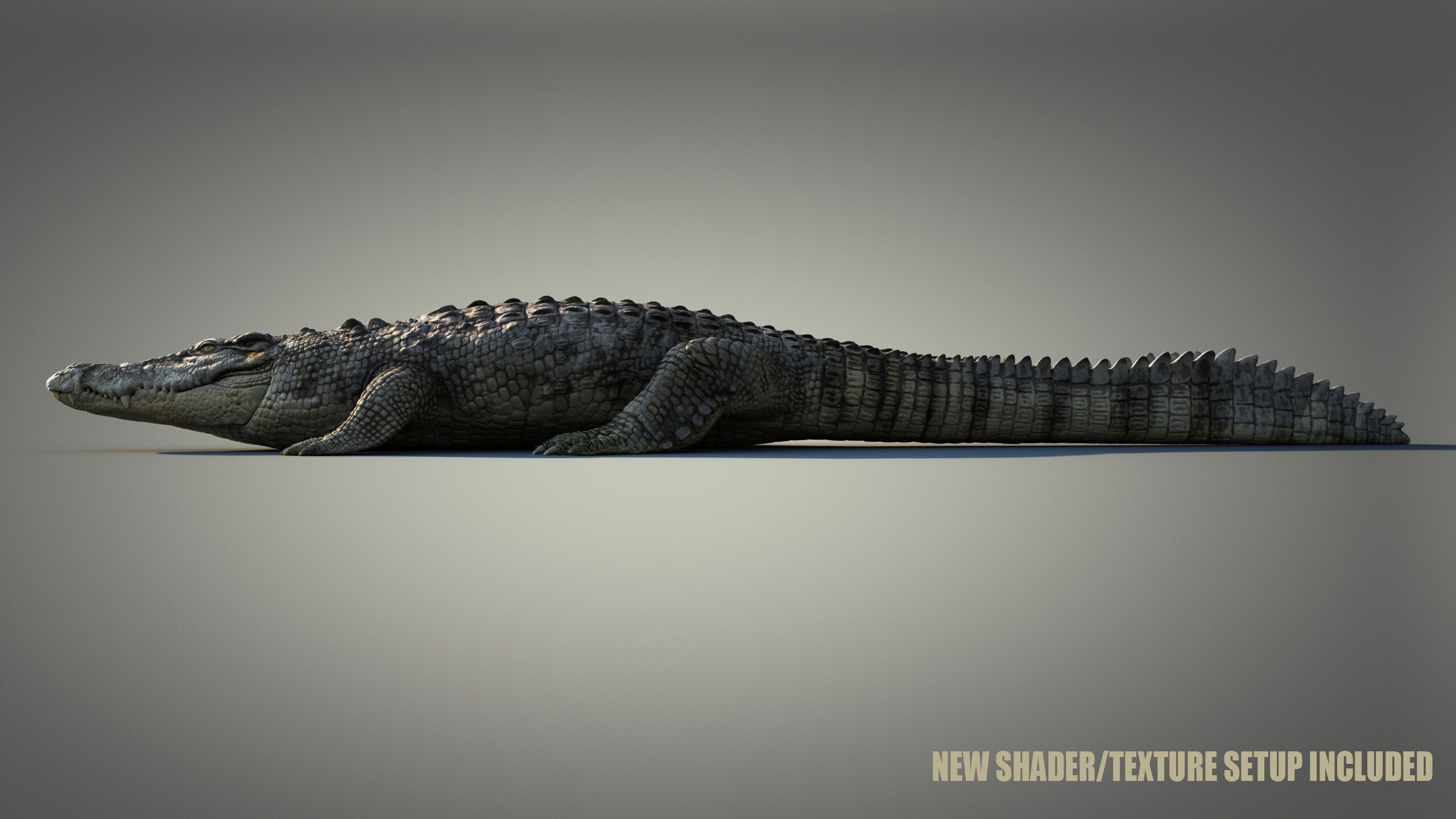 Crocodile RIG 3D model_24