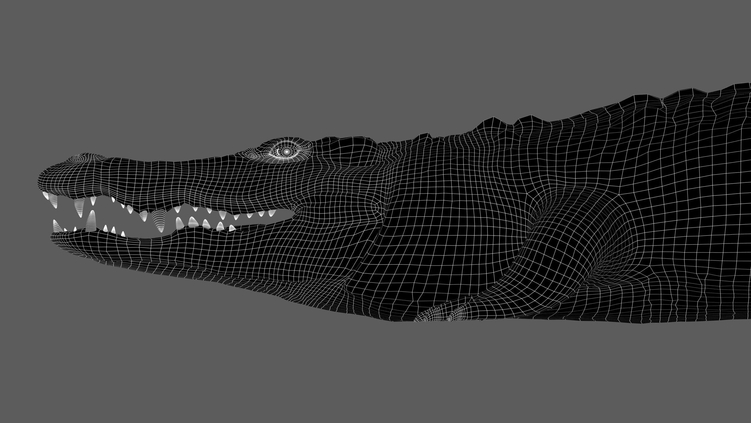 Crocodile RIG 3D model_27