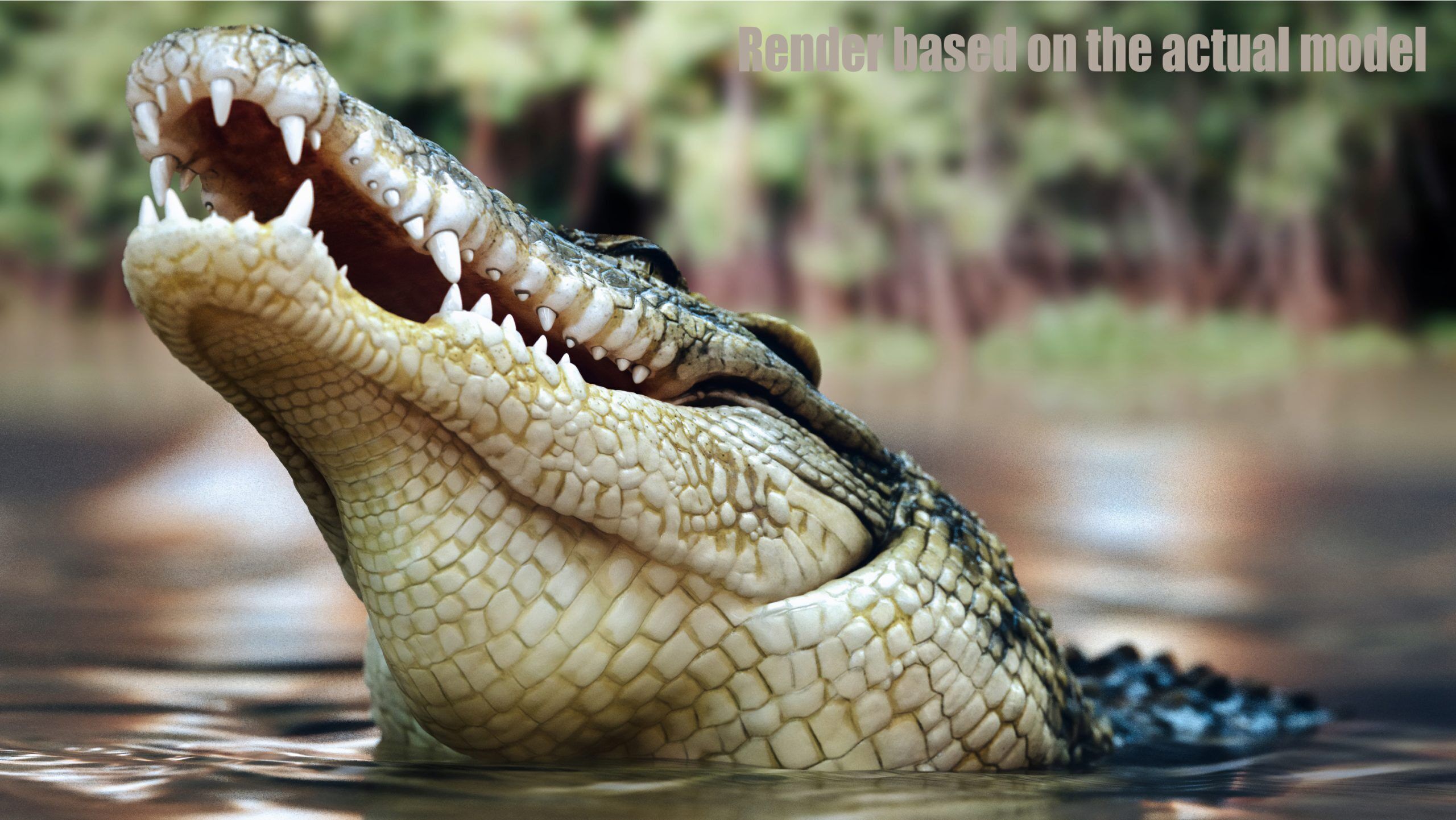 Crocodile RIG 3D model_19