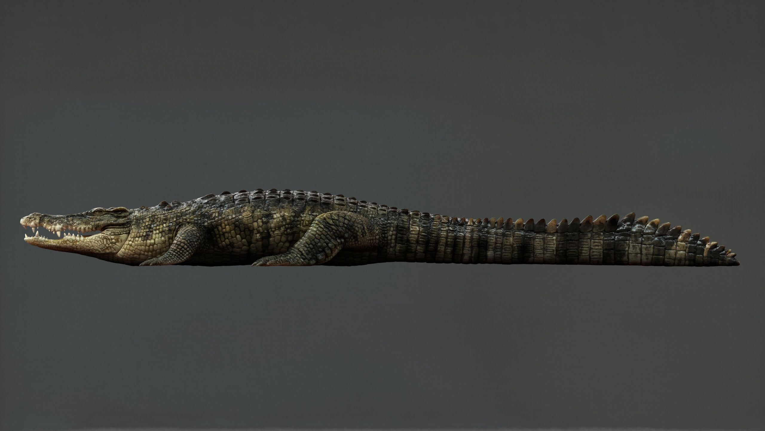 Crocodile RIG 3D model_17