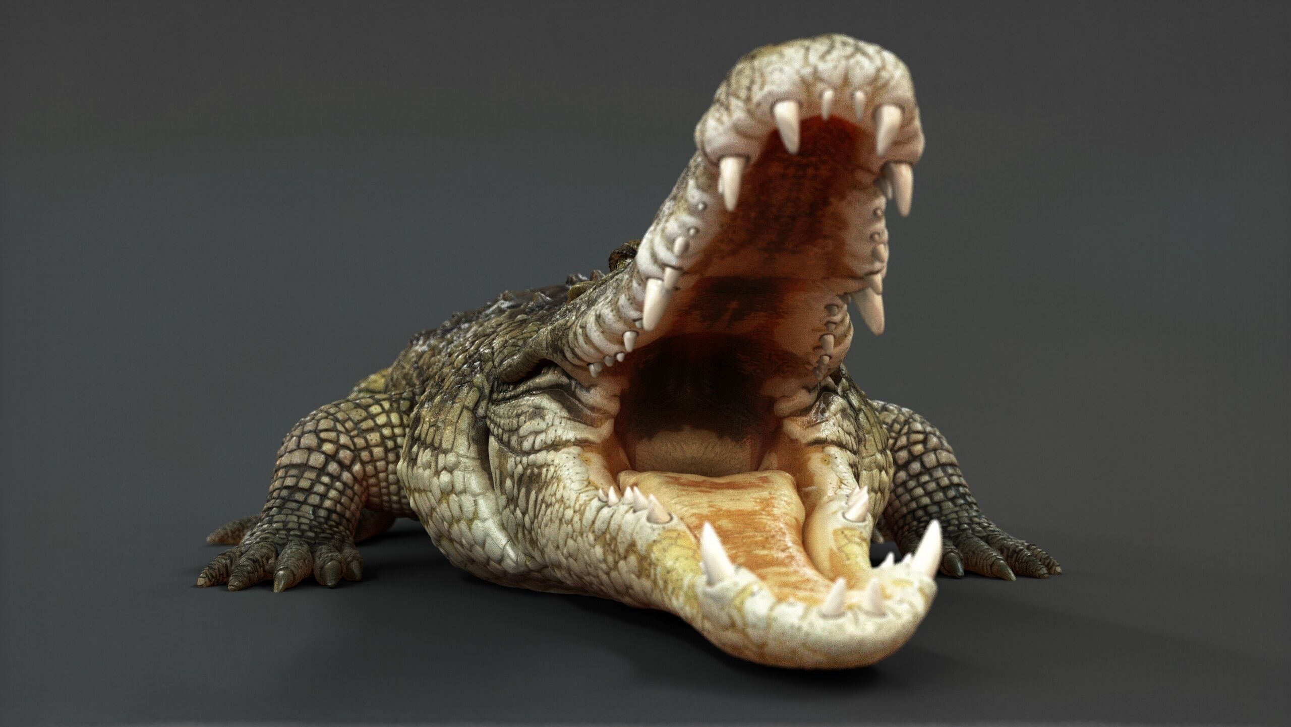 Crocodile RIG 3D model_13