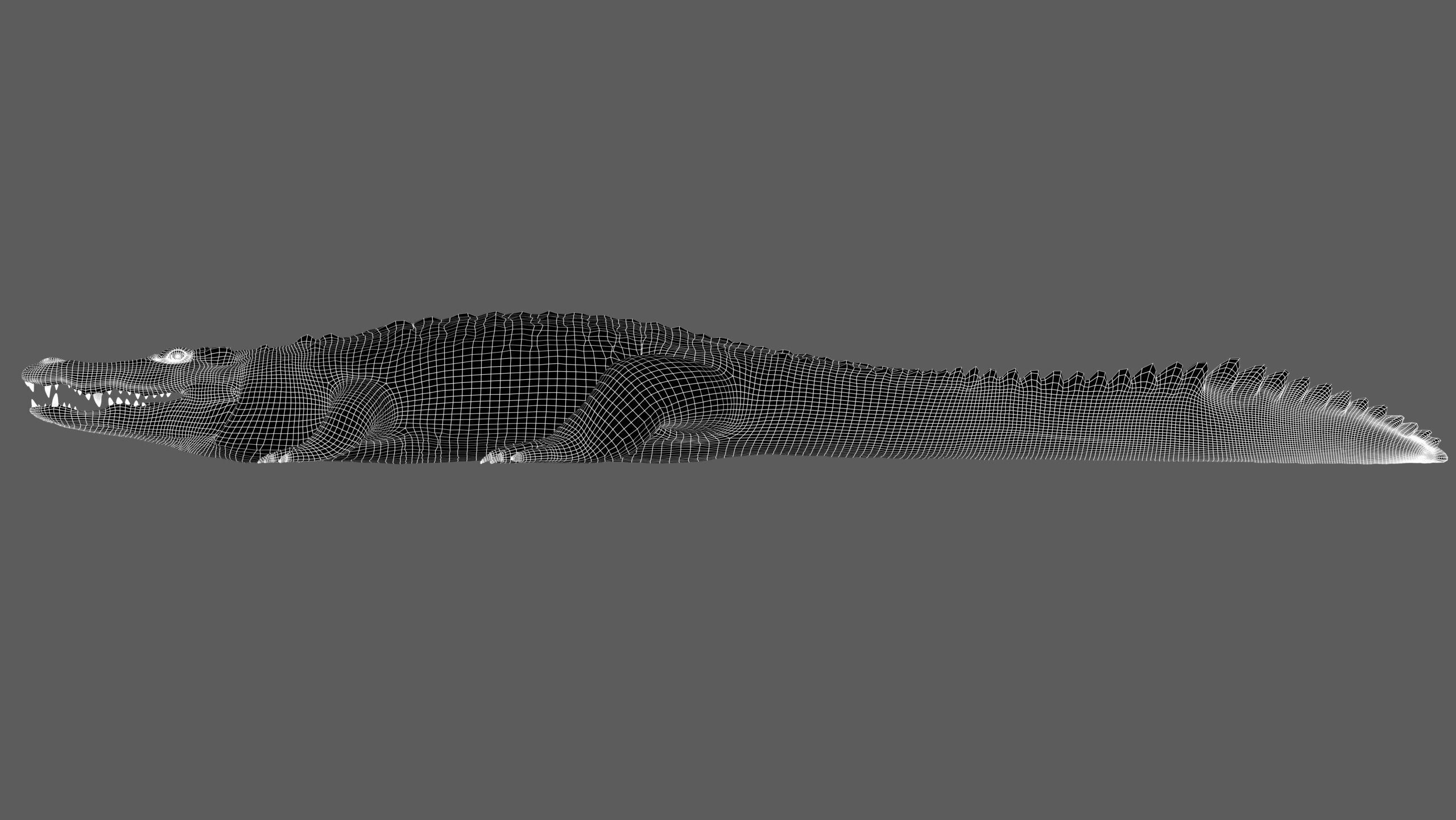 Crocodile RIG 3D model_29