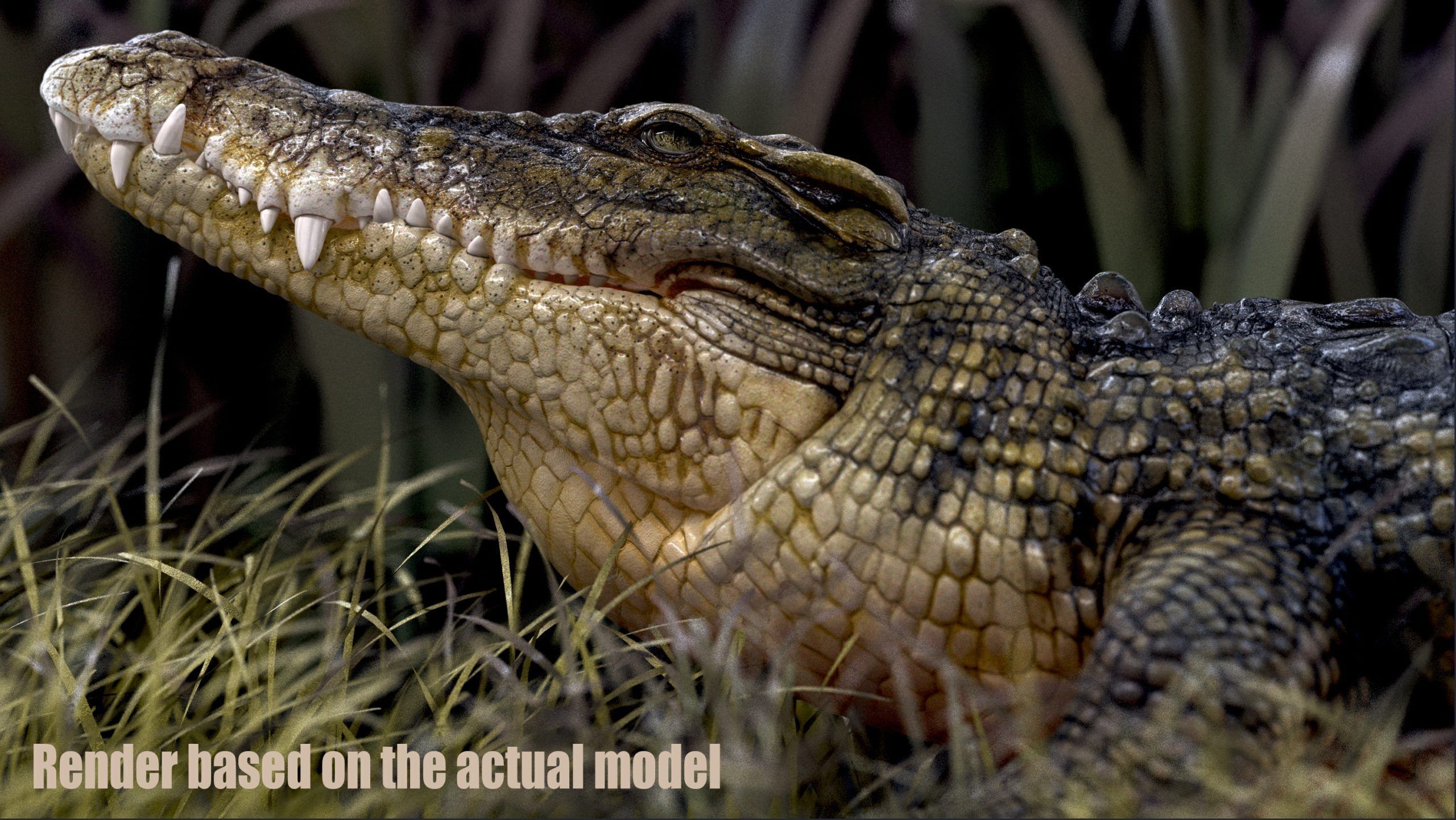 Crocodile RIG 3D model_18