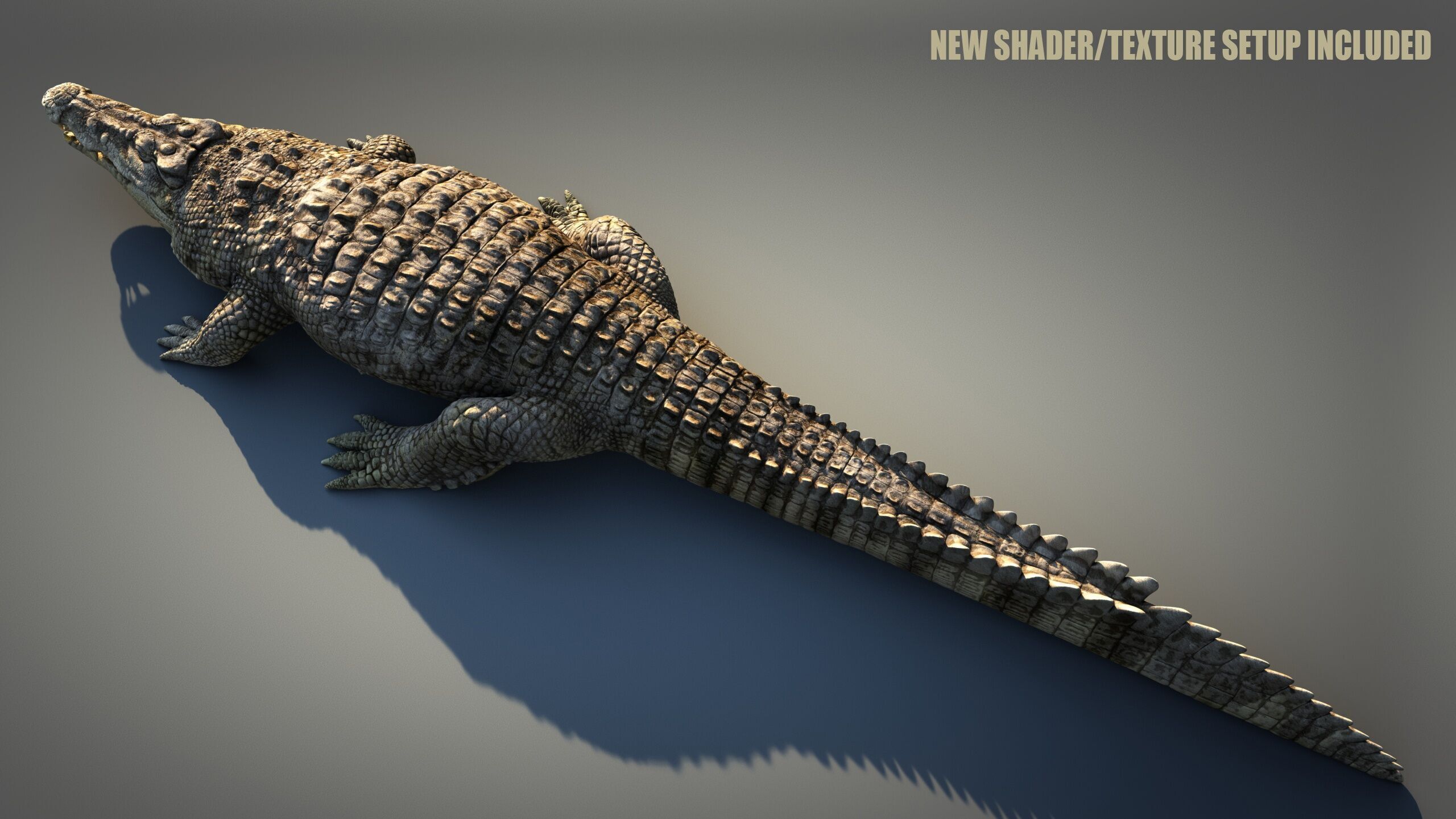 Crocodile RIG 3D model_21