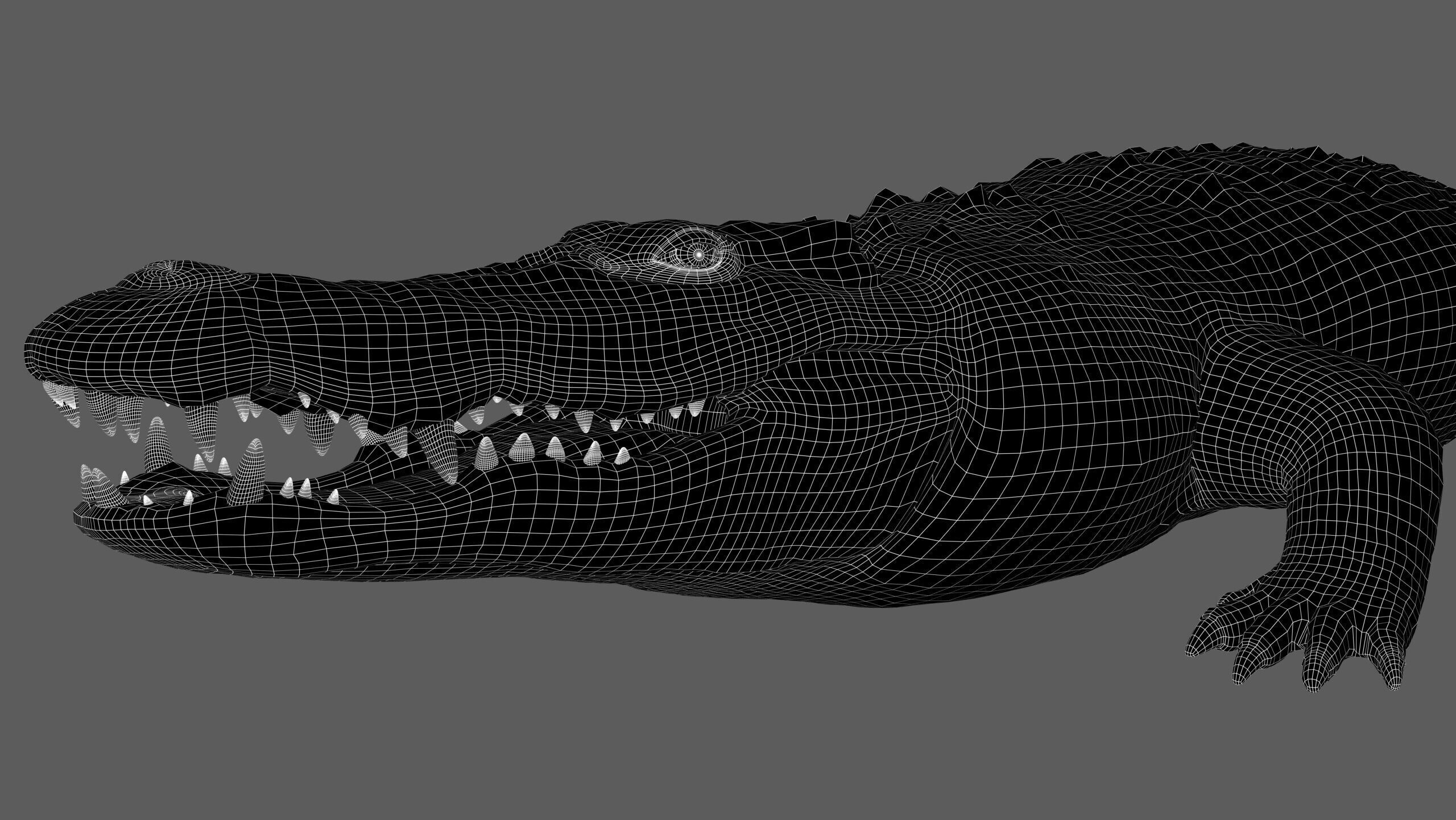 Crocodile RIG 3D model_28