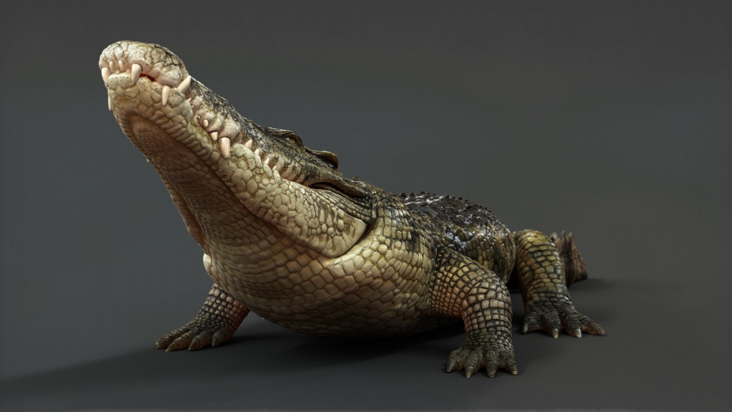Crocodile RIG 3D model_12