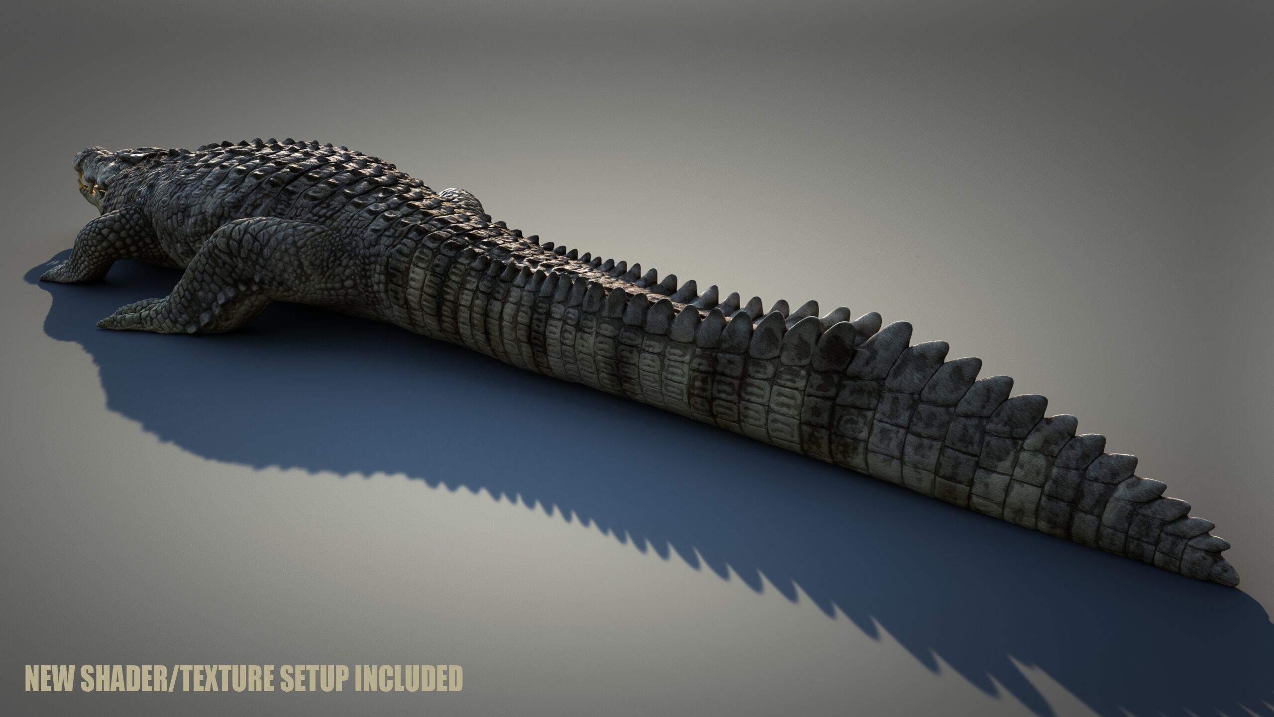 Crocodile RIG 3D model_22