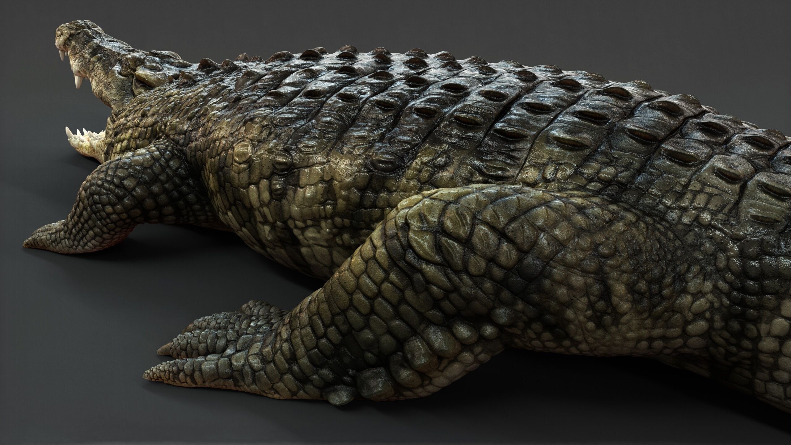 Crocodile RIG 3D model_14